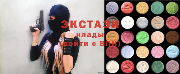 индика Арсеньев