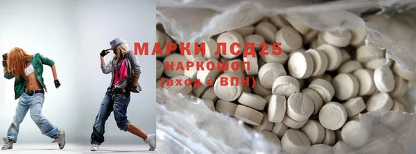 индика Арсеньев