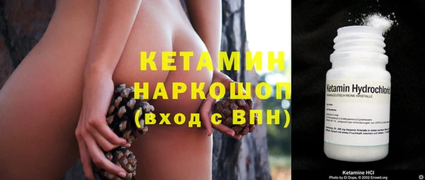 индика Арсеньев