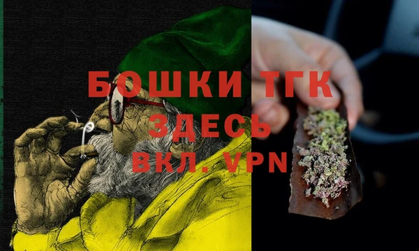 индика Арсеньев