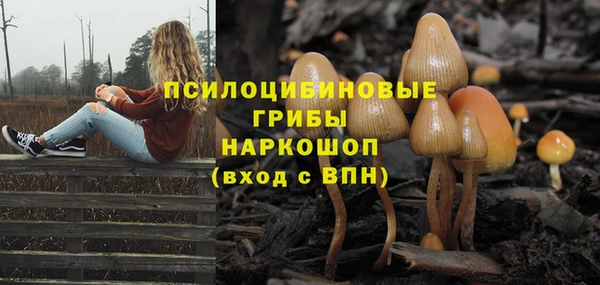 индика Арсеньев
