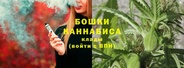 индика Арсеньев