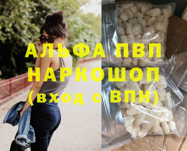 индика Арсеньев