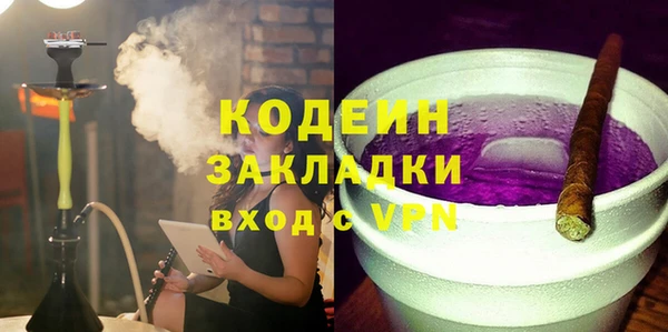 индика Арсеньев