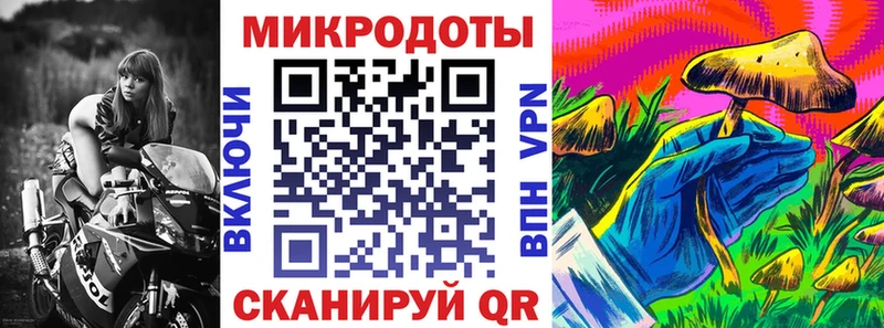 купить   Ишим  Галлюциногенные грибы Psilocybine cubensis 