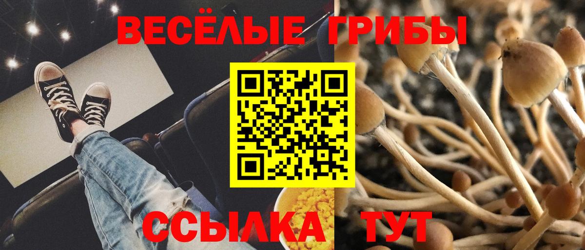 Ишим  Галлюциногенные грибы мицелий  Вход с VPN  Псилоцибиновые грибы Psilocybine cubensis 